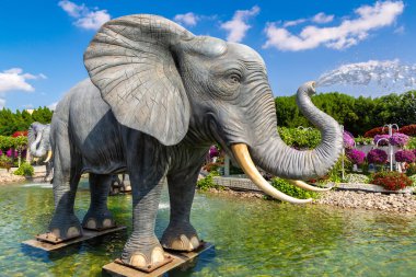 DUBAI, BİRLİK ARAB EMIRATES - 29 Mart 2020: Güneşli bir günde Dubai Mucize Bahçesi, Birleşik Arap Emirlikleri