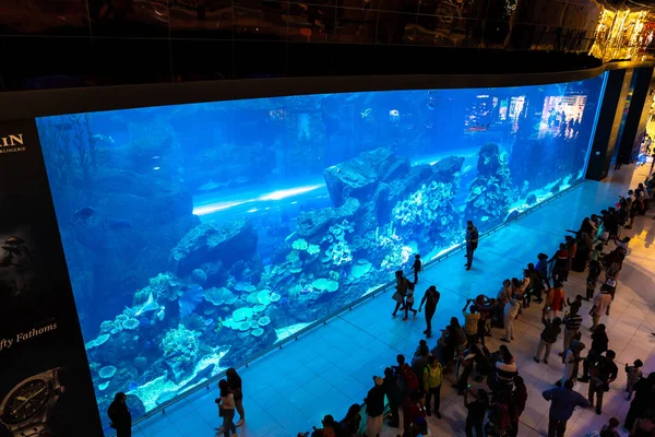Dubai Uae April 2020 Huge Aquarium Dubai Mall World Largest — Stock Photo, Image