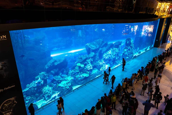 Dubai Emiratos Árabes Unidos Abril 2020 Enorme Acuario Dubai Mall —  Fotos de Stock