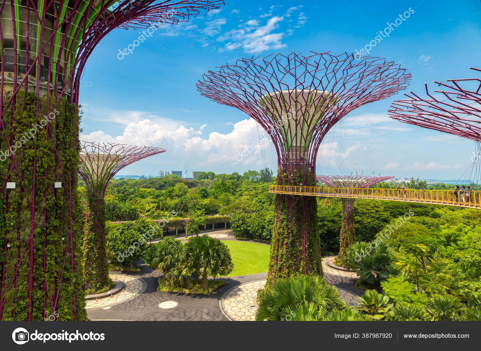 新加坡2019年6月23日新加坡滨海湾金沙酒店附近的超级树林和天桥—— 库存社论照片© bloodua #387987920