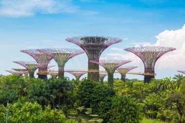 SINGAPORE - 23 Haziran 2018 'de Marina Körfezi Sands Oteli yakınlarındaki Singapur Körfezi yakınlarındaki Gardens' taki Supertree Grove