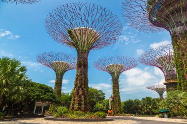 SINGAPORE - 23 Haziran 2019 'da Marina Körfezi Sands Oteli yakınlarındaki Singapur Körfezi yakınlarındaki Gardens' taki Supertree Grove