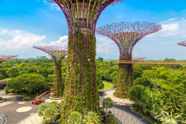 SINGAPORE - 23 Haziran 2019 'da Marina Körfezi Sands Oteli yakınlarındaki Singapur Körfezi yakınlarındaki Gardens' taki Supertree Grove