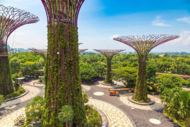 SINGAPORE - 23 Haziran 2019 'da Marina Körfezi Sands Oteli yakınlarındaki Singapur Körfezi yakınlarındaki Gardens' taki Supertree Grove