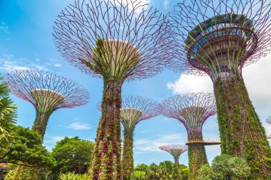 SINGAPORE - 23 Haziran 2019 'da Marina Körfezi Sands Oteli yakınlarındaki Singapur Körfezi yakınlarındaki Gardens' taki Supertree Grove