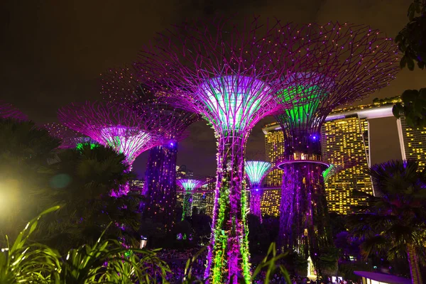 Singapur Singapur Febrero 2020 Jardines Junto Bahía Marina Bay Sands —  Fotos de Stock