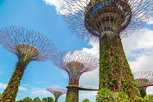 Singapur Juni 2019 Der Supertree Grove Und Skyway Gardens Bay — Stockfoto