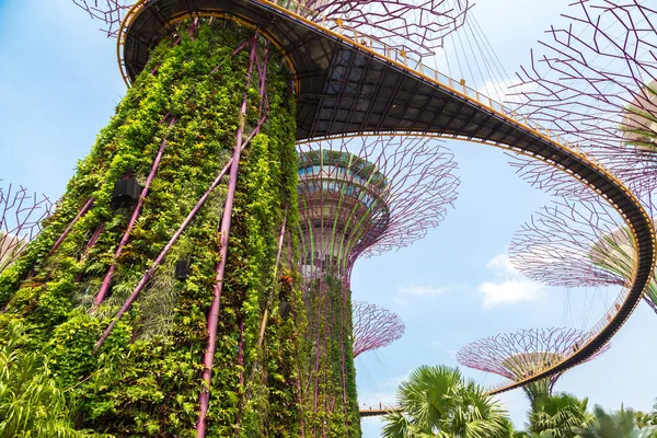 Singapur Juni 2019 Der Supertree Grove Und Skyway Gardens Bay — Stockfoto