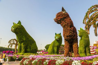 DUBAI, BİRLİK ARAB EMIRATES - 31 Ocak 2020: Güneşli bir günde Dubai mucizevi bahçesi, Birleşik Arap Emirlikleri