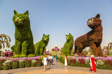 DUBAI, BİRLİK ARAB EMIRATES - 31 Ocak 2020: Güneşli bir günde Dubai mucizevi bahçesi, Birleşik Arap Emirlikleri