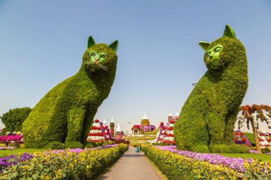 DUBAI, BİRLİK ARAB EMIRATES - 31 Ocak 2020: Güneşli bir günde Dubai mucizevi bahçesi, Birleşik Arap Emirlikleri