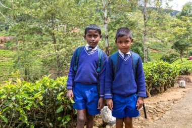 Nuwara Eliya, Sri Lanka 'daki çay çiftliklerinde iki öğrenci.