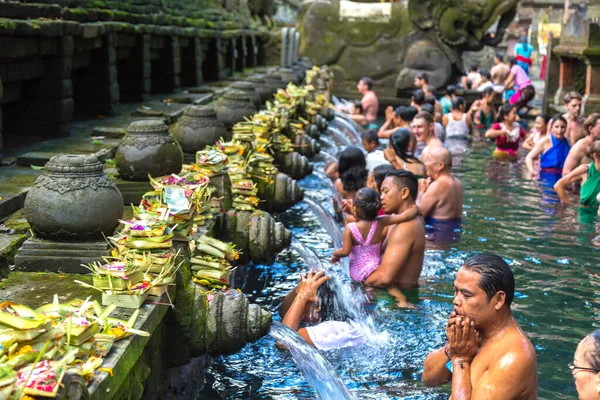 バリ島 インドネシア 2020年2月28日 インドネシアのバリにあるプーラ ティルタ エンプル寺院で バリの人々はプールの聖水で祈ります — ストック写真