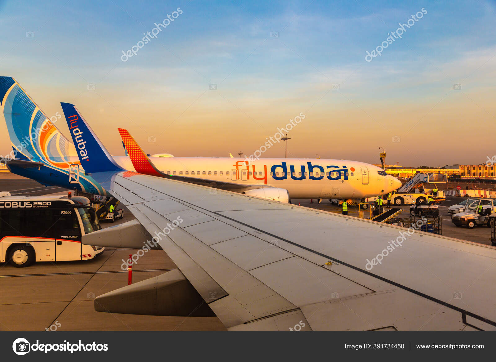 боинг 737 800 флай дубай