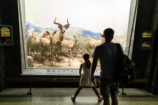 Nova Iorque Cidade Eua Março 2020 Interior Museu Americano História — Fotografia de Stock