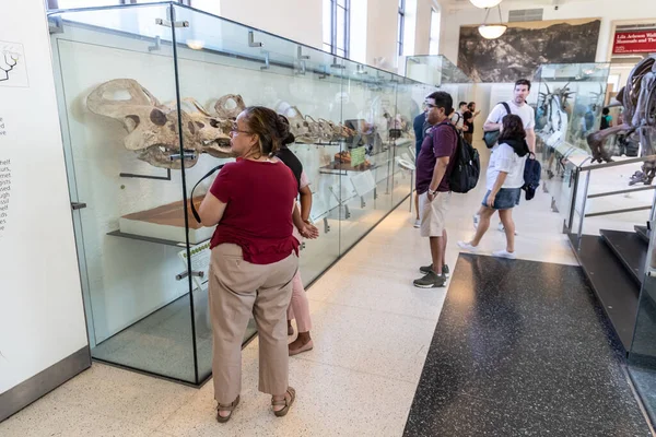 New York City Usa Mars 2020 Interiör American Museum Natural — Stockfoto