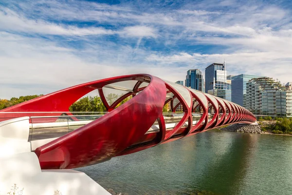 Calgary Canada April 2020 Peace Bridge Bow River Calgary Sunny — Stock Photo, Image