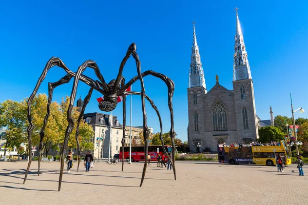 Ottawa Canada Aprile 2020 Statua Maman Basilica Della Cattedrale Notre — Foto Stock