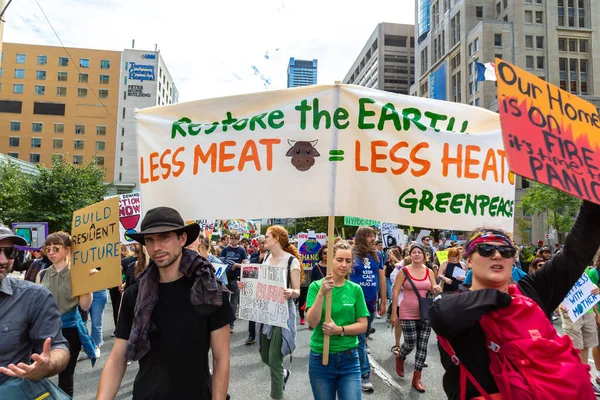 Toronto Canadá Septiembre 2019 Huelga Global Por Clima Marcha Por —  Fotos de Stock