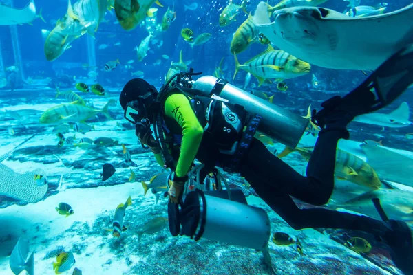 Dubai Uae April 2020 Scuba Diver Lost Room Large Aquarium — 스톡 사진