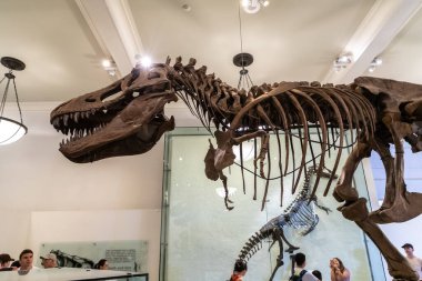 NEW YORK CITY, ABD - 29 Mart 2020: New York City, ABD 'deki American Museum of Natural History' deki dinozor