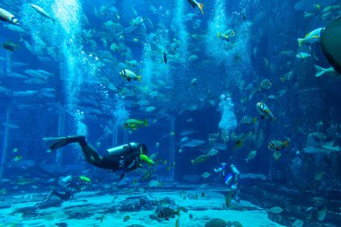 DUBAI, BAE - 5 Nisan 2020: Kayıp odalarda dalgıç - Dubai, Birleşik Arap Emirlikleri 'nde Hotel Atlantis' te büyük bir akvaryum