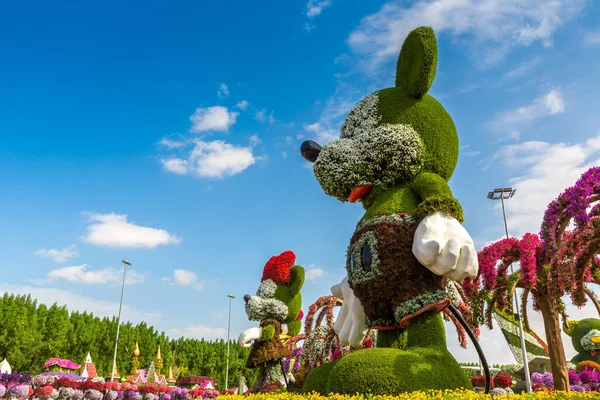 Dubai United Arab Emirates March 2020 Dubai Miracle Garden Sunny — Stock Photo, Image