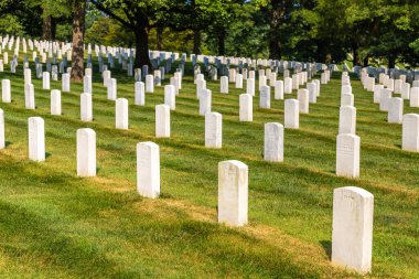 WASHINGTON DC, ABD - 29 Mart 2020: Arlington Ulusal Mezarlığı, Washington DC, ABD
