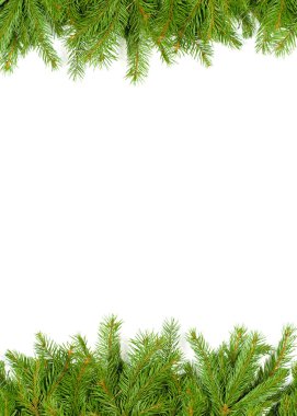 Beyaz arkaplanda izole edilmiş Noel yeşili çerçeve