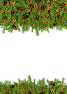 Beyaz arka planda koni ve kutsal böğürtlenli Noel yeşil çerçevesi