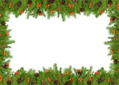 Beyaz arka planda koni ve kutsal böğürtlenli Noel yeşil çerçevesi