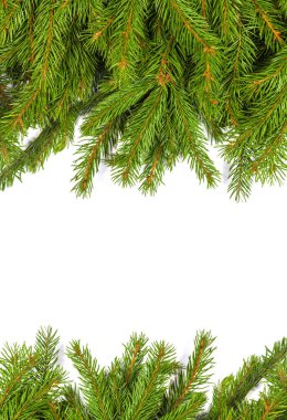 Beyaz arkaplanda izole edilmiş Noel yeşili çerçeve