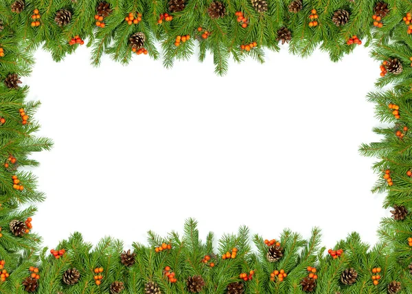 Natal Quadro Verde Com Cones Baga Azevinho Isolado Fundo Branco — Fotografia de Stock