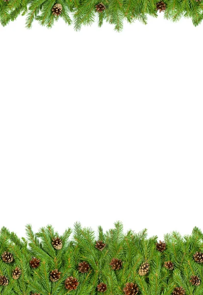 Weihnachten Hintergrund Mit Zapfen Isoliert Auf Weiß — Stockfoto