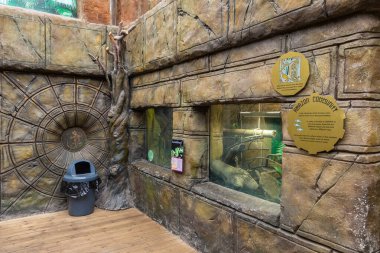 LEEDS, İngiltere - 18 Eylül 2025: Leeds, Batı Yorkshire, İngiltere 'deki Tropikal Dünya' da antik temalı taş mimari ve orman tarzı dekorasyonlarla dolu kapalı sergi