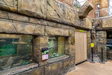 LEEDS, İngiltere - 18 Eylül 2025: Leeds, Batı Yorkshire, İngiltere 'deki Tropikal Dünya' da antik temalı taş mimari ve orman tarzı dekorasyonlarla dolu kapalı sergi