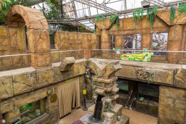LEEDS, İngiltere - 18 Eylül 2025: Leeds, Batı Yorkshire, İngiltere 'deki Tropikal Dünya' da antik temalı taş mimari ve orman tarzı dekorasyonlarla dolu kapalı sergi