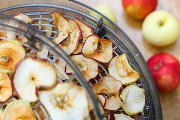 Frites Pommes Fraîches Séchées Préparées Dans Sèche Fruits Légumes Maison — Photo