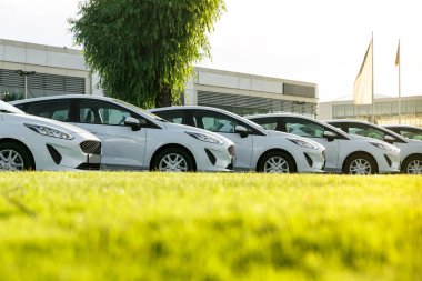 Satır stok araba galerisinde yepyeni beyaz otomobillerin. Satılık satılmamış arabalar.