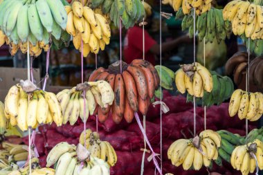 Muz farklı türde bir piyasada satılan