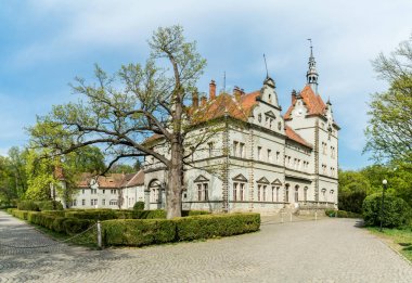 Mukachevo yakınlarındaki Kont Schonborn kale-saray Bahar günü görünümü, Zakarpattia bölgesi, Ukrayna.