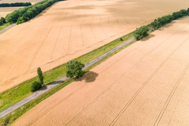 Buğday tarlaları arasındaki yolun havadan görünümü  