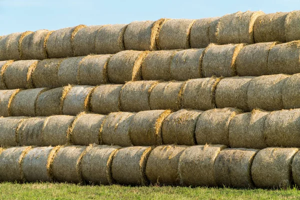 Pyramide de fûts de foin empilés dans un champ près d'une ferme animale — Photo