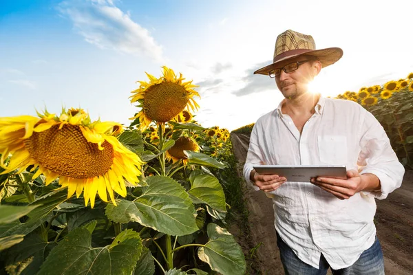 Agricultor en un sombrero de paja con gafas con una tableta digital insp — Foto de Stock
