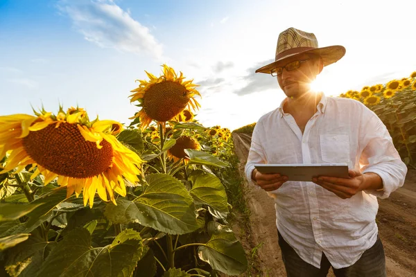 Agricultor en un sombrero de paja con gafas con una tableta digital insp — Foto de Stock