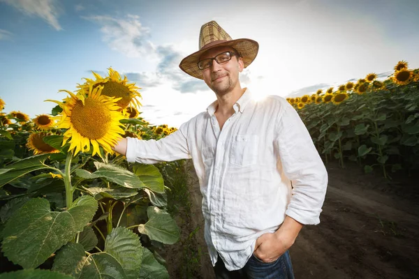 Farmer in a straw hat wearing glasses inspecting sunflower field — Stock Photo, Image