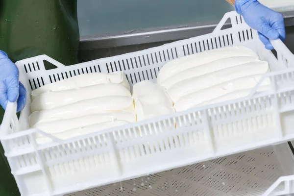Manos de trabajador en guantes sosteniendo caja de almacenamiento blanca con c fresco — Foto de Stock