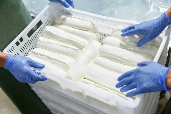 Manos en guantes que empaquen cabezas frescas de mozzarella refrigeradas en un stor — Foto de Stock