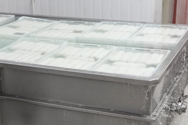 Baño de enfriamiento para queso mozzarella en una fábrica de producción como pa —  Fotos de Stock