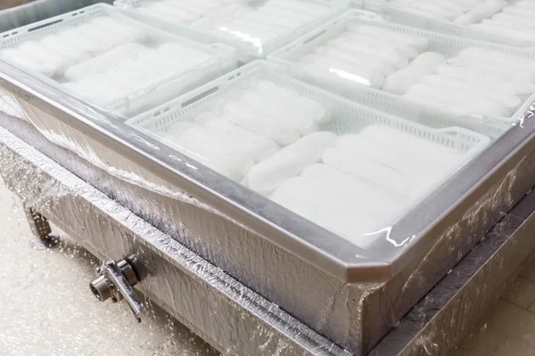Baño de enfriamiento para queso mozzarella en una fábrica de producción como pa —  Fotos de Stock